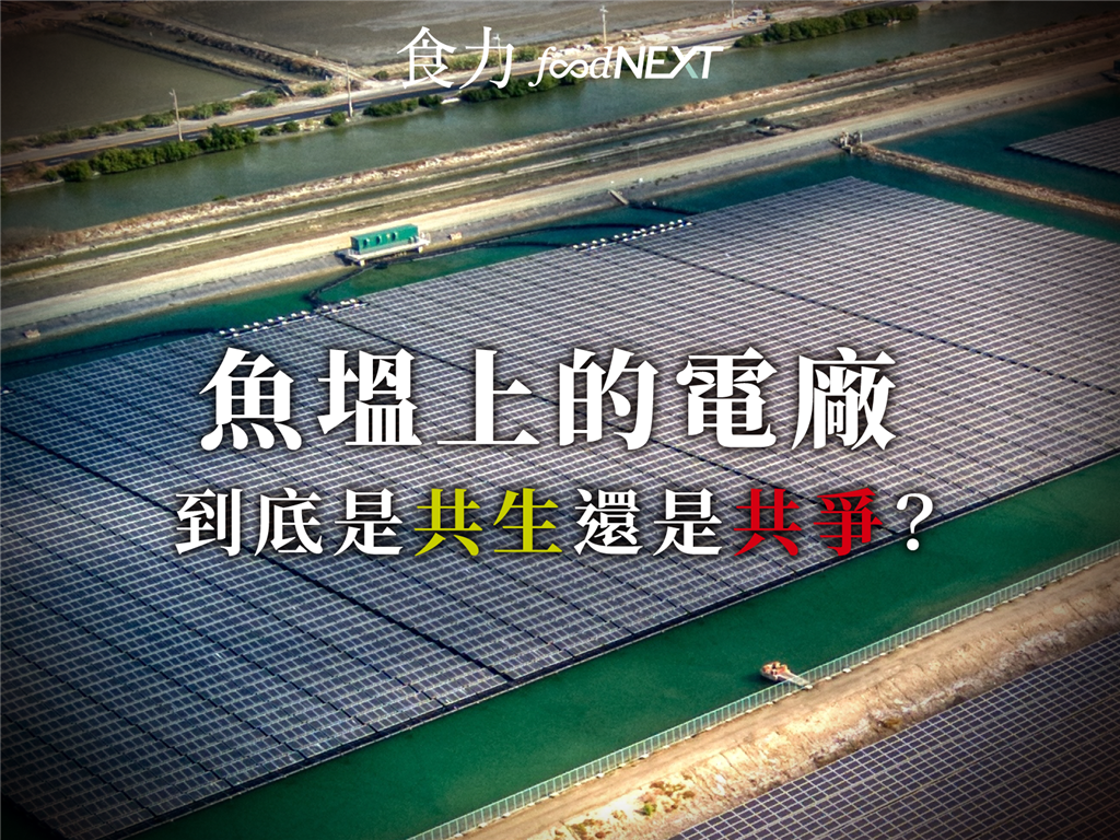 魚塭上的電廠 到底是共生還是共爭